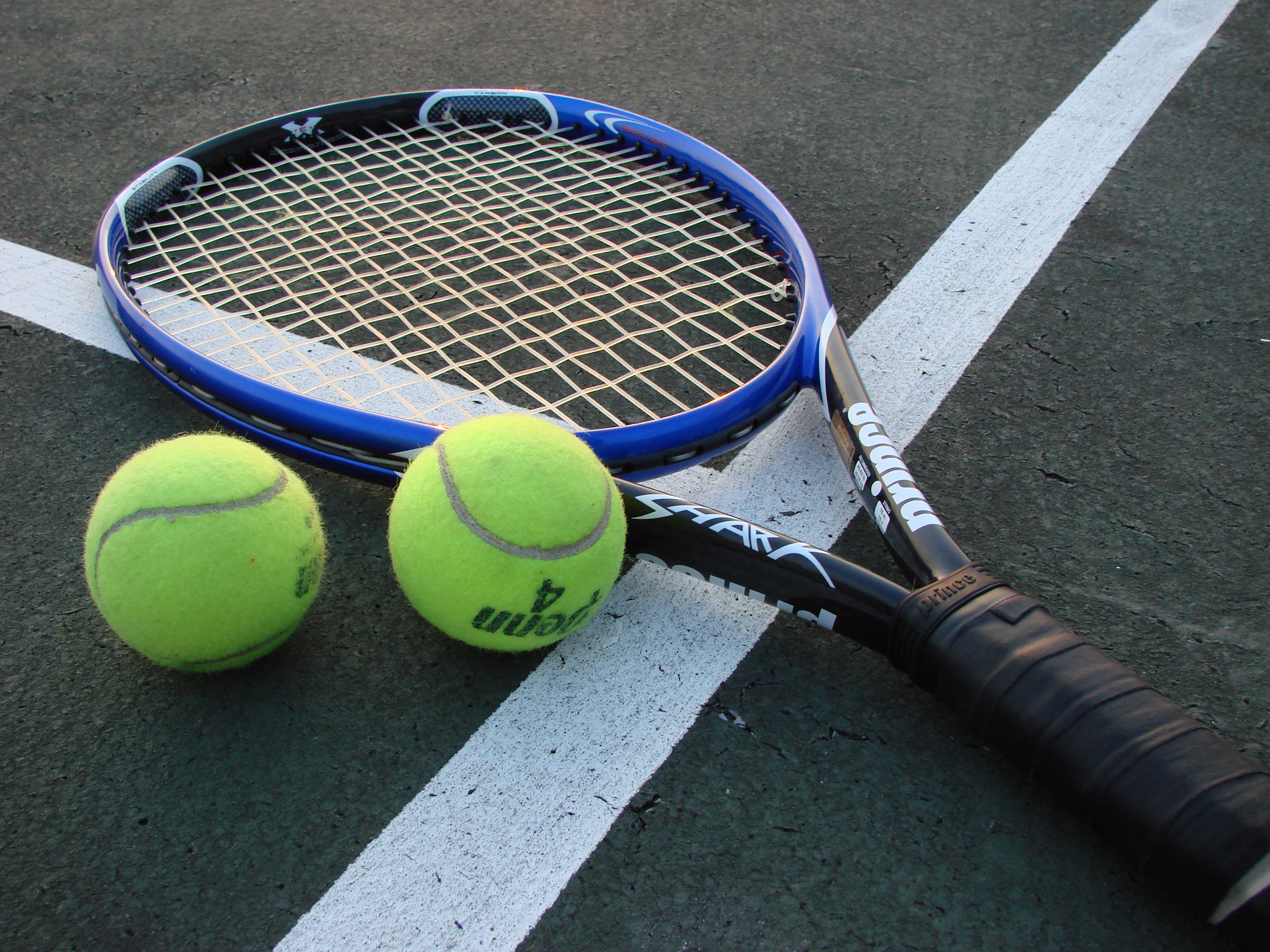 TorneoLTC  eptiembre 2026